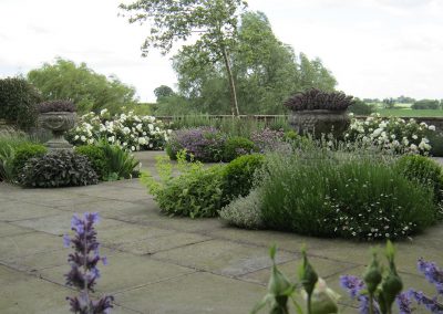 The herb garden