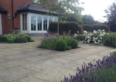 Lavender, rosemary and rose hedging