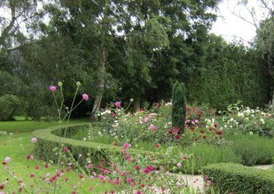 Rose garden with curving hedge