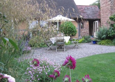 stipa gigantea and knautia