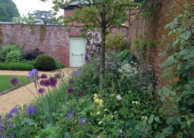 Perennials under the magnolia