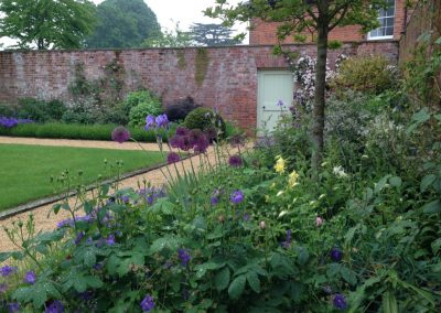 perennials in the garden