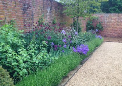 perennials and lavender