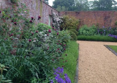 lavender lines the beds