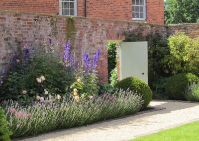 yew domes and lavender