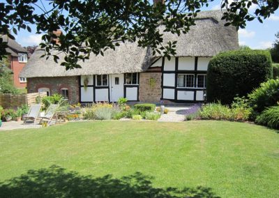 looking across the garden