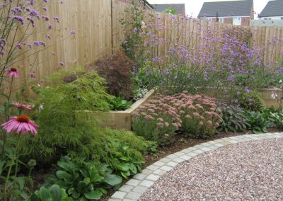 planting in late summer