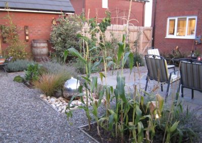 growing vegetables in a small garden