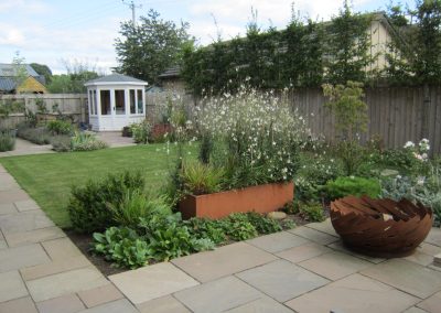 Pleached hornbeam screen